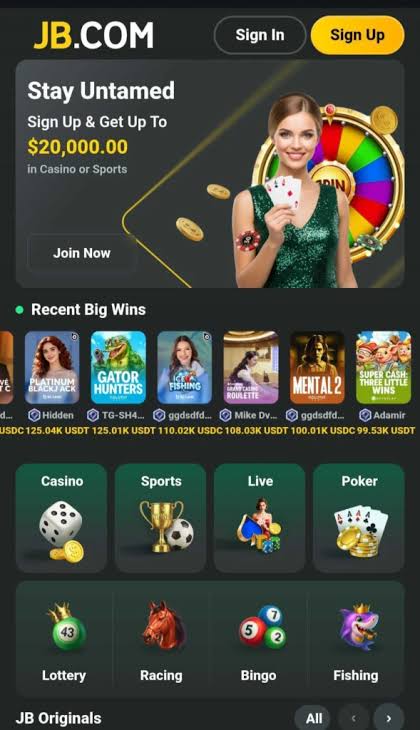 JB Casino Pakistan An In-Depth Overview of Thrilling Online Gaming