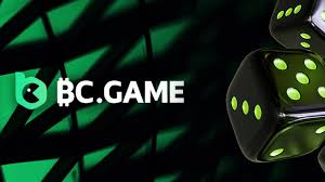 Understanding the BC.Game Login Process A Comprehensive Guide -733377964 Understanding the BC.Game Login Process A Comprehensive Guide -733377964