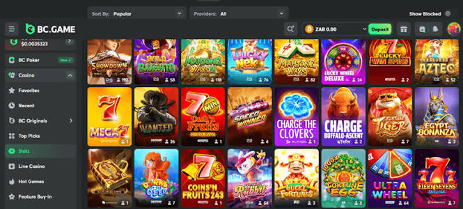 Unlocking the Potential A Comprehensive Guide to BC.Game Bonuses and Promo Codes